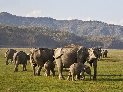 Uttarakhand Hill Station