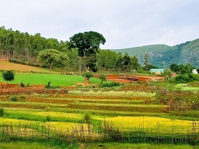 Araku-valley Hill Station 