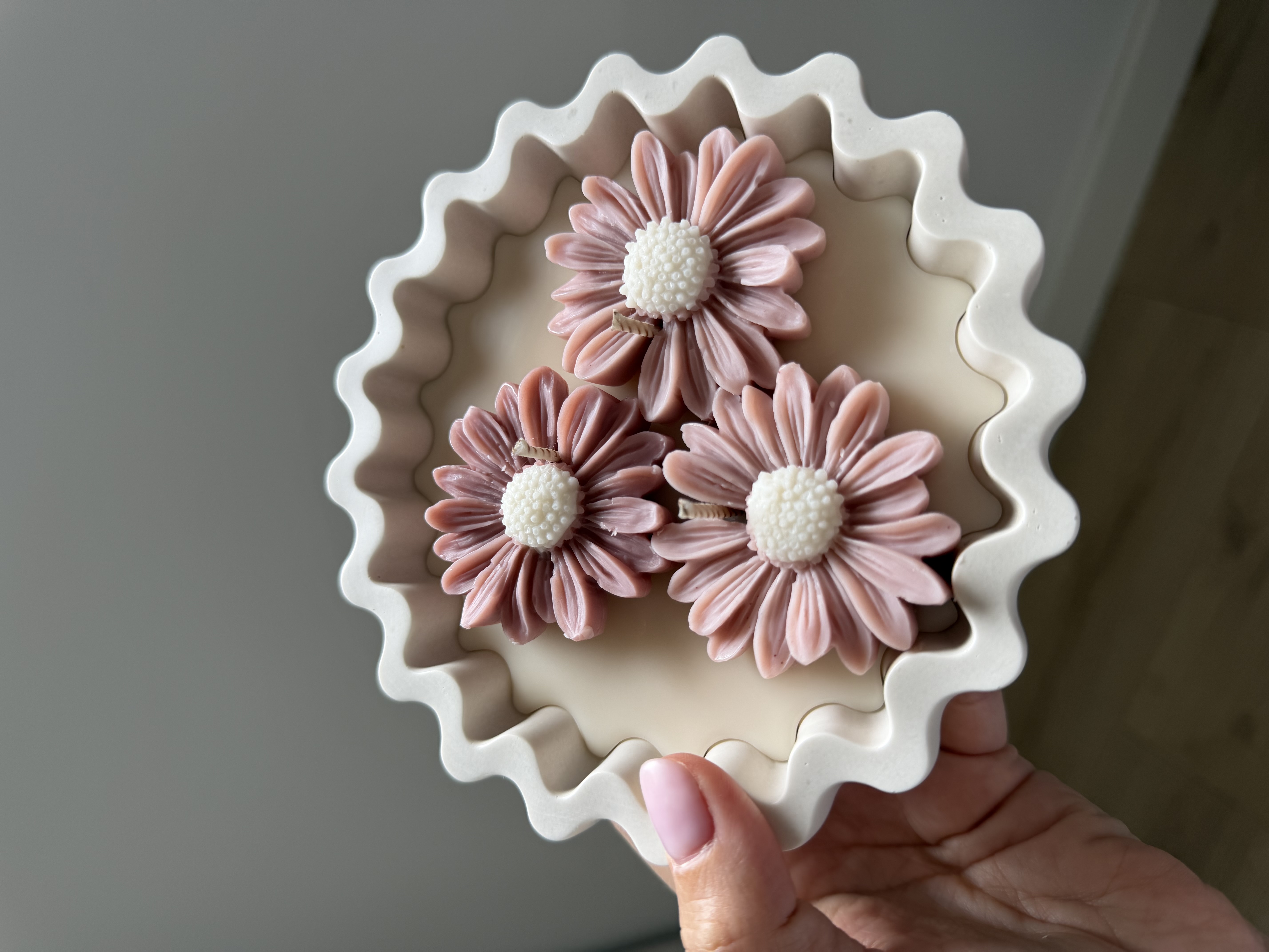 Daisy Mauve