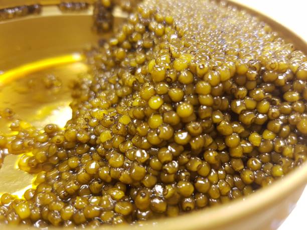 Imperial Gold Osetra Caviar