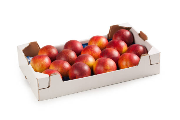 Goosen Yellow Flesh Nectarines Box