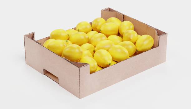 Lemons Export Quality Big Box 15kg