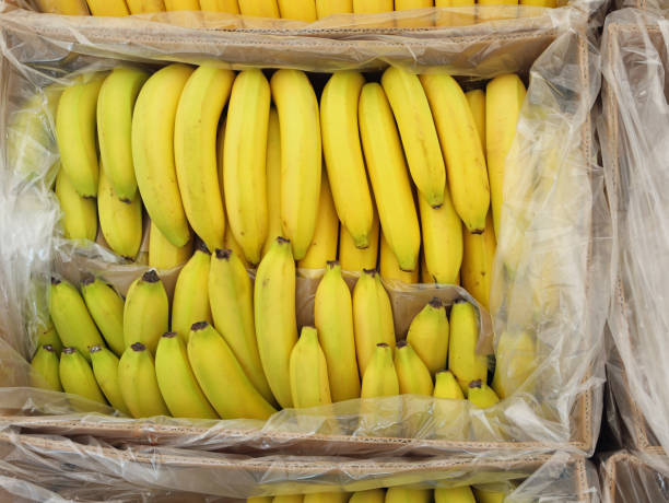 Banana Bulk Box 4kg