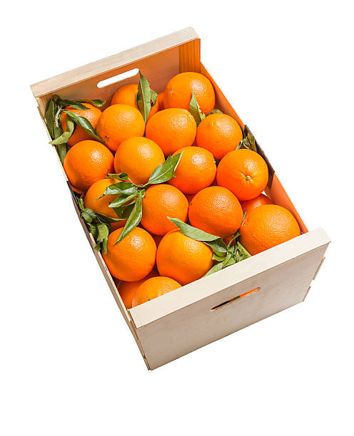 Oranges Valencia Bulk Box 15Kg