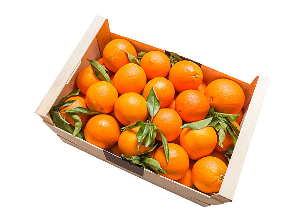 Oranges Valencia Bulk Box 15Kg