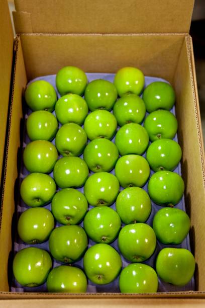 Tru Cape Granny Smith Apples x80 Packed Box