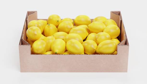 Lemons Export Quality Big Box 15kg