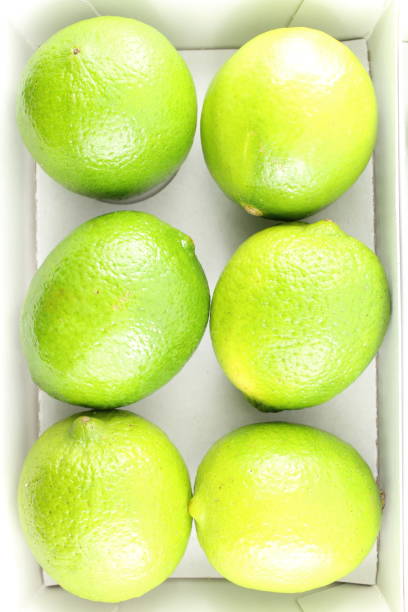 Limes PrePack x5
