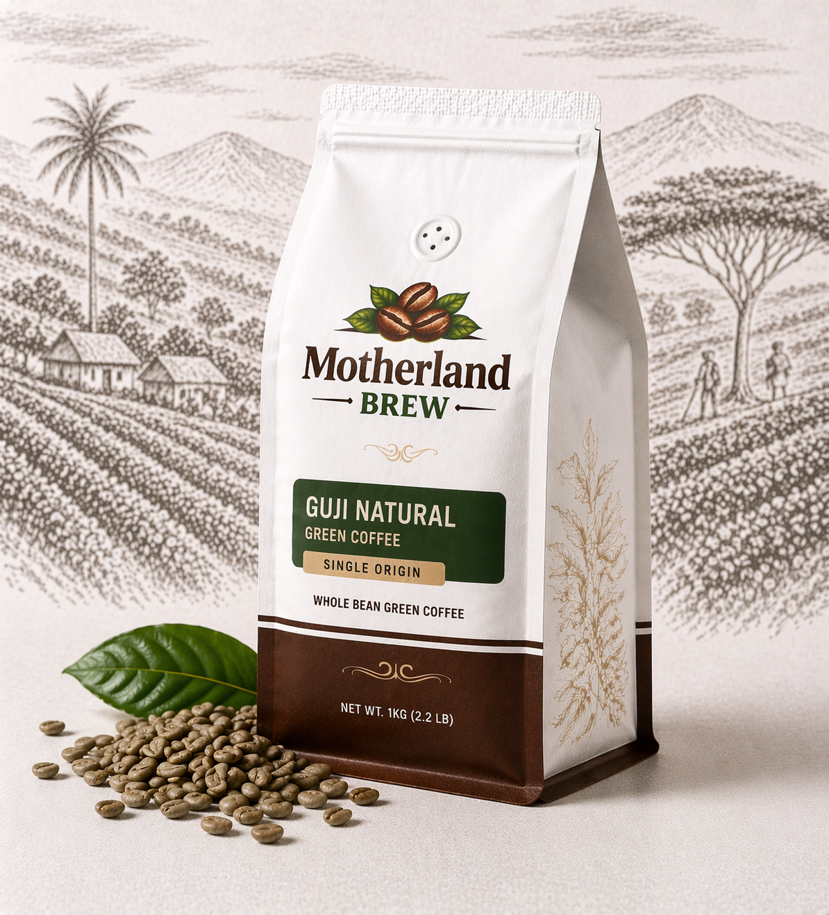 Motherland Brew Guji Natural Green Coffee