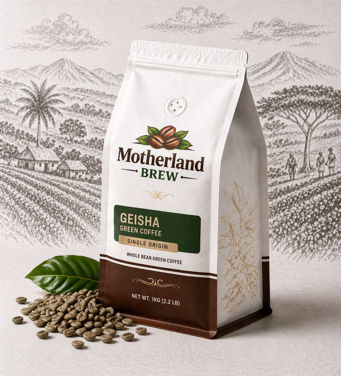 Motherland Brew Geisha Green Coffee Beans