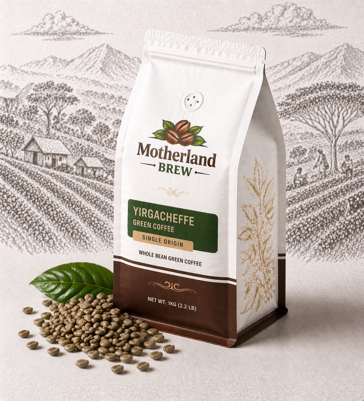 Motherland Brew Yirgacheffe Green Coffee