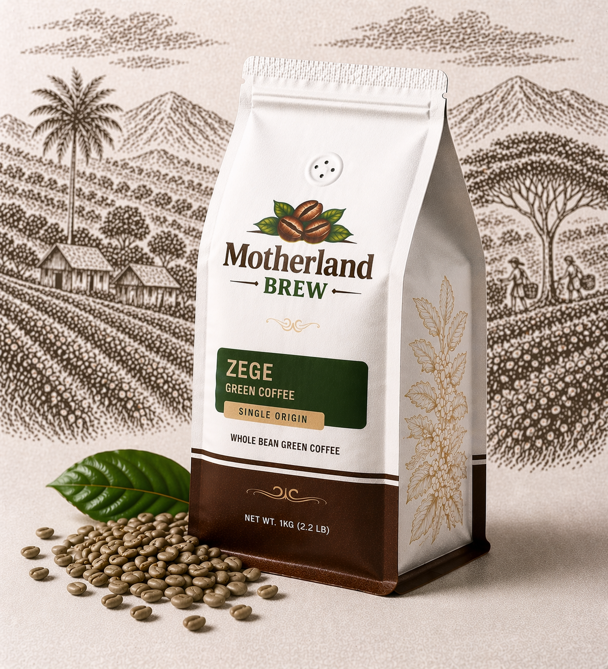 Motherland Brew Zege Green Coffee