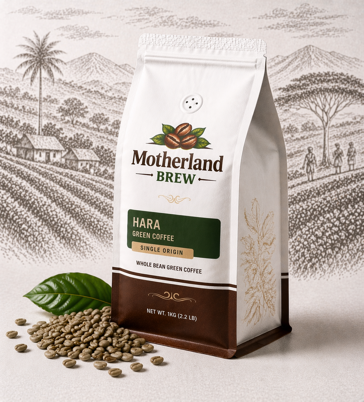 Motherland Brew Hara Green Coffee
