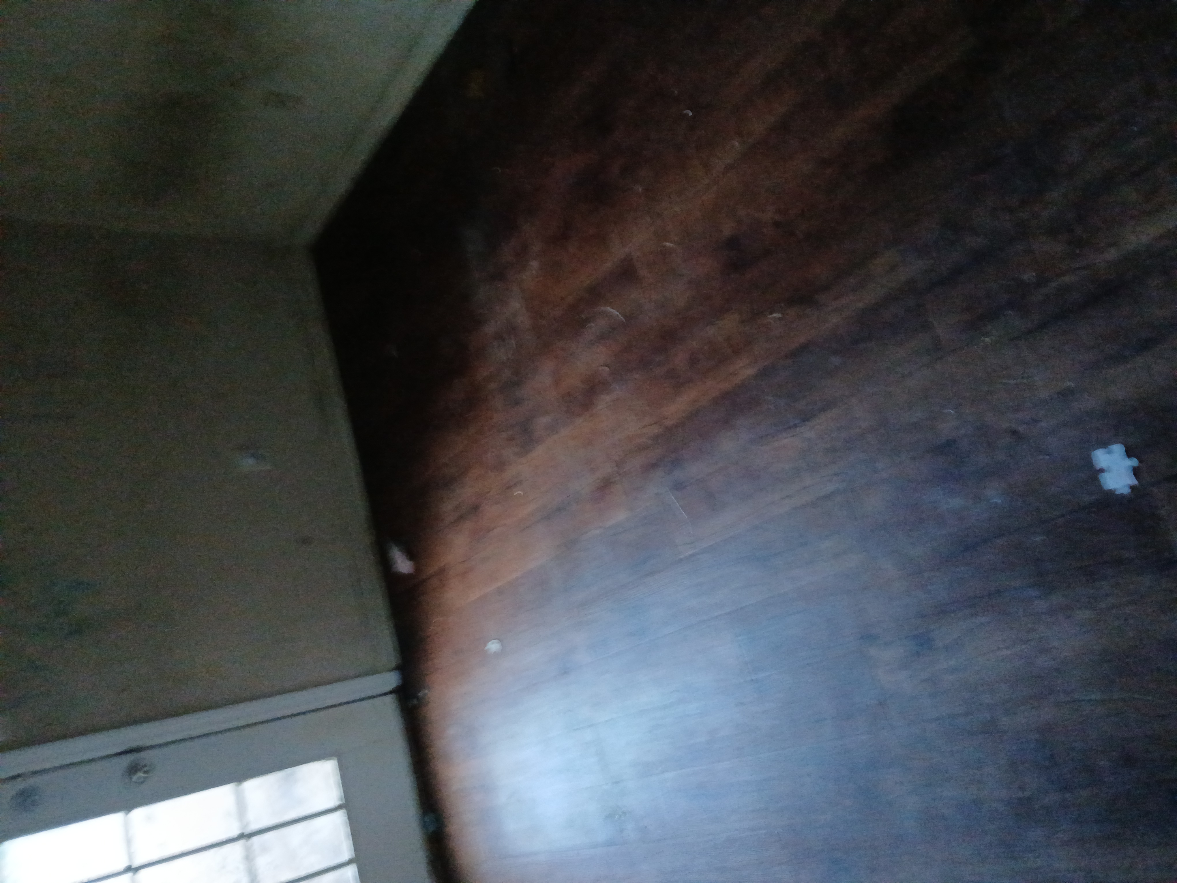 Home clean outs Starting At!