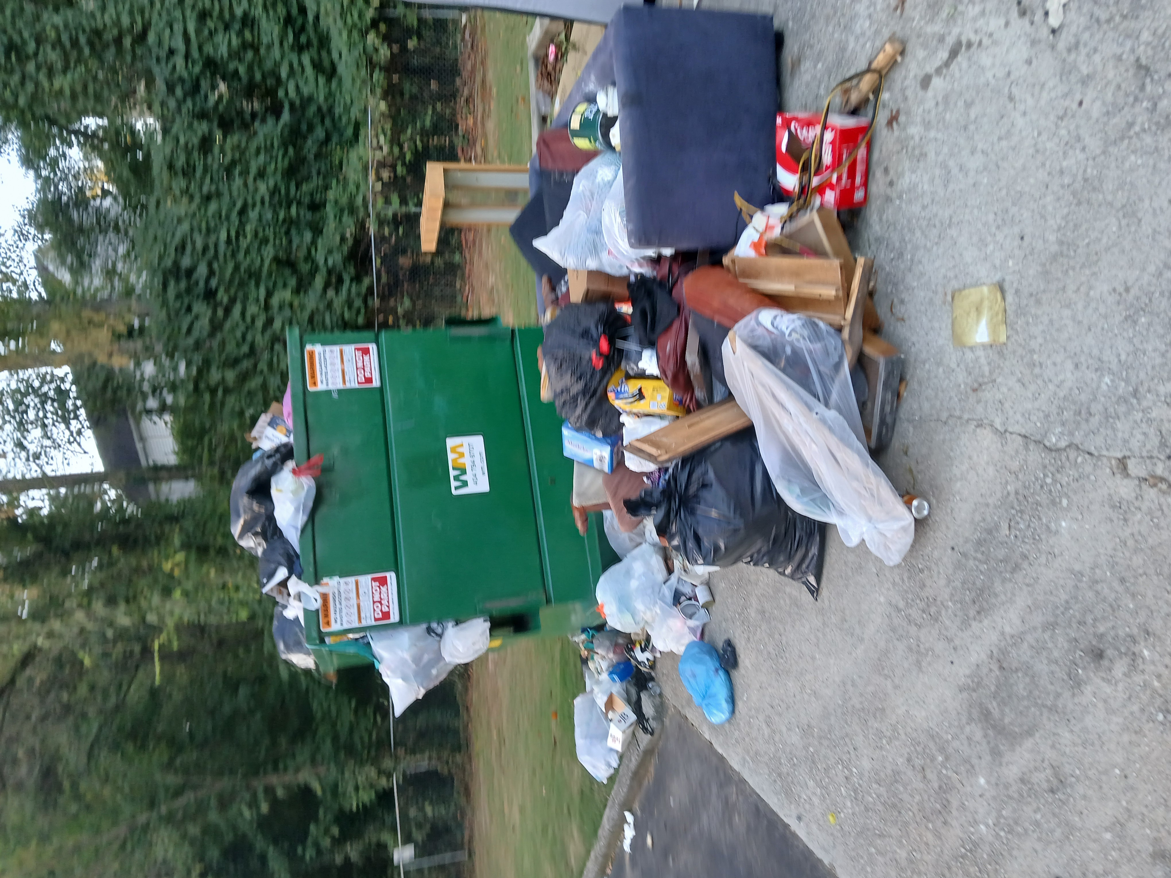  Waste Cleanup Booking