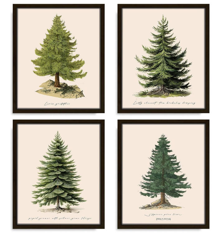 VIYYIEA 4 Pcs Christmas Pine Tree Prints - 8" X 10" Winter Decor Vintage Botanical Fir Xmas Tree Posters for Room Decor