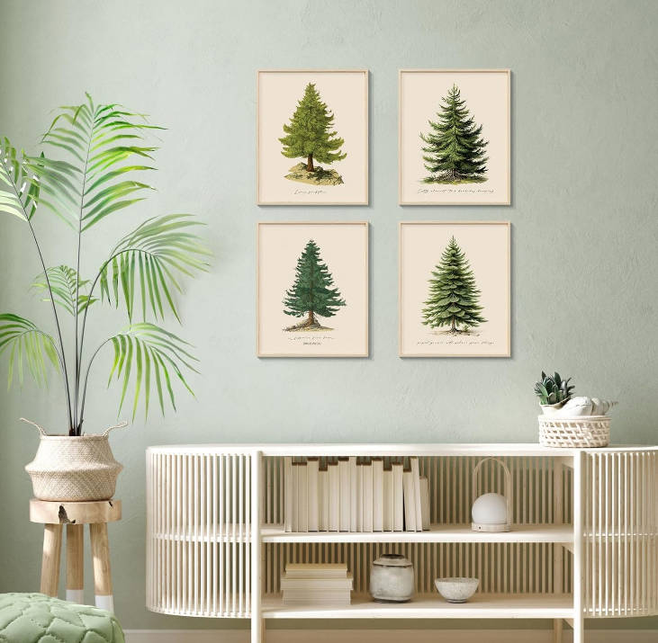 VIYYIEA 4 Pcs Christmas Pine Tree Prints - 8" X 10" Winter Decor Vintage Botanical Fir Xmas Tree Posters for Room Decor