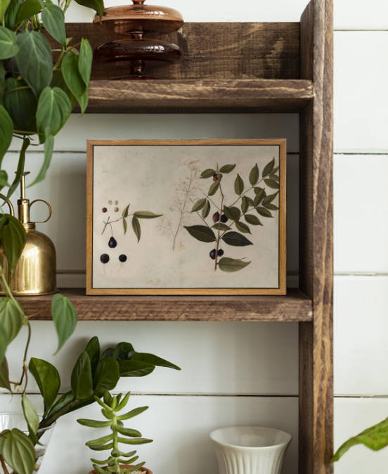 VIYYIEA Vintage Framed Canvas Botanical Wall Art Prints, Plant Rustic Farmhouse Wall Decor for Bedroom Living Room Bathroom, 9"x11"