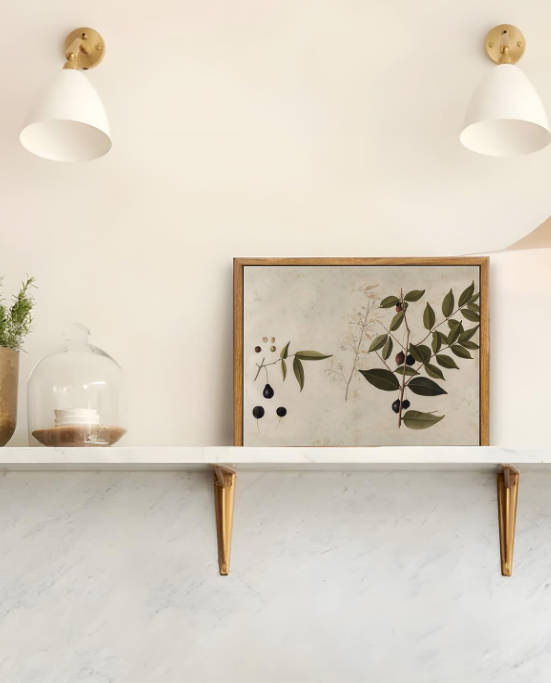 VIYYIEA Vintage Framed Canvas Botanical Wall Art Prints, Plant Rustic Farmhouse Wall Decor for Bedroom Living Room Bathroom, 9"x11"