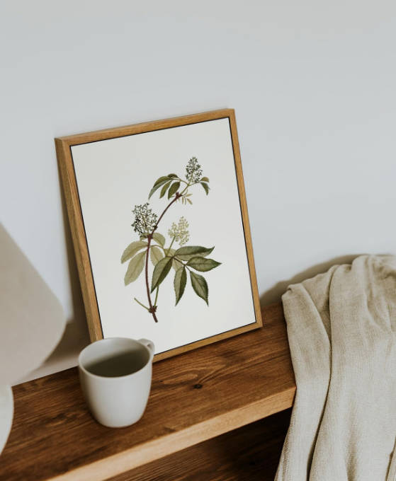 VIYYIEA Vintage Framed Canvas Wall Art Prints, Sambucus Racemosa Botanical Plant Bathroom Art Painting, Rustic Farmhouse Plant Pictures for Bedroom Living Room Bathroom, 9"x11"