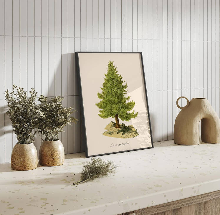 VIYYIEA 4 Pcs Christmas Pine Tree Prints - 8" X 10" Winter Decor Vintage Botanical Fir Xmas Tree Posters for Room Decor