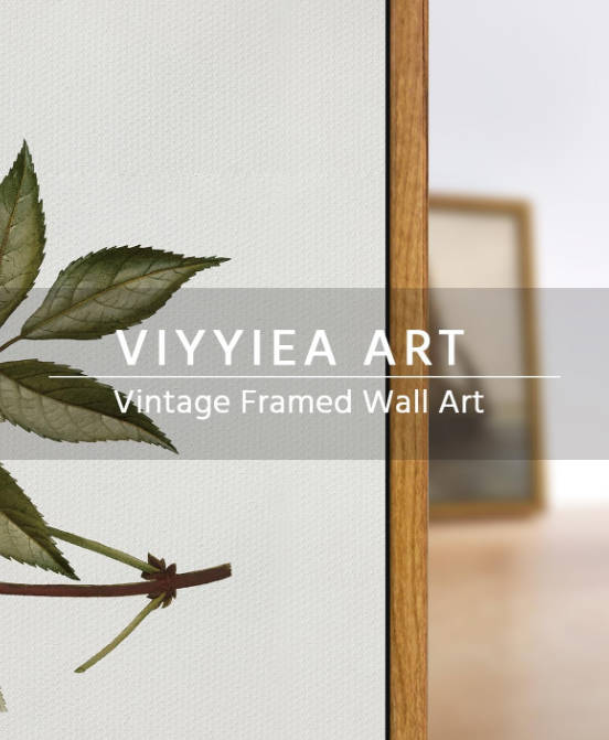VIYYIEA Vintage Framed Canvas Wall Art Prints, Sambucus Racemosa Botanical Plant Bathroom Art Painting, Rustic Farmhouse Plant Pictures for Bedroom Living Room Bathroom, 9"x11"