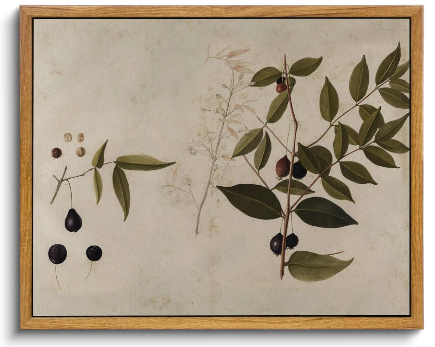 VIYYIEA Vintage Framed Canvas Botanical Wall Art Prints, Plant Rustic Farmhouse Wall Decor for Bedroom Living Room Bathroom, 9"x11"