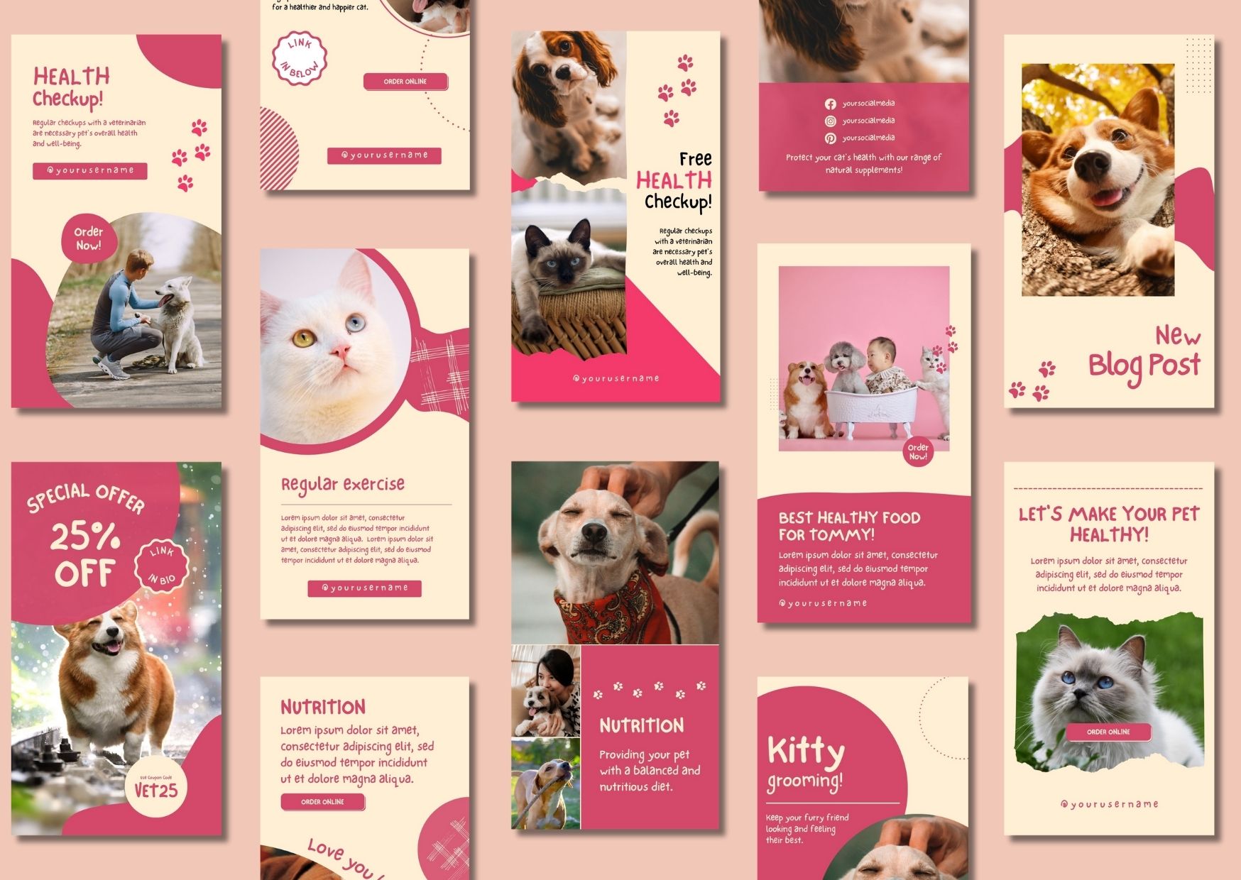Pet Shop Instagram Story Templates