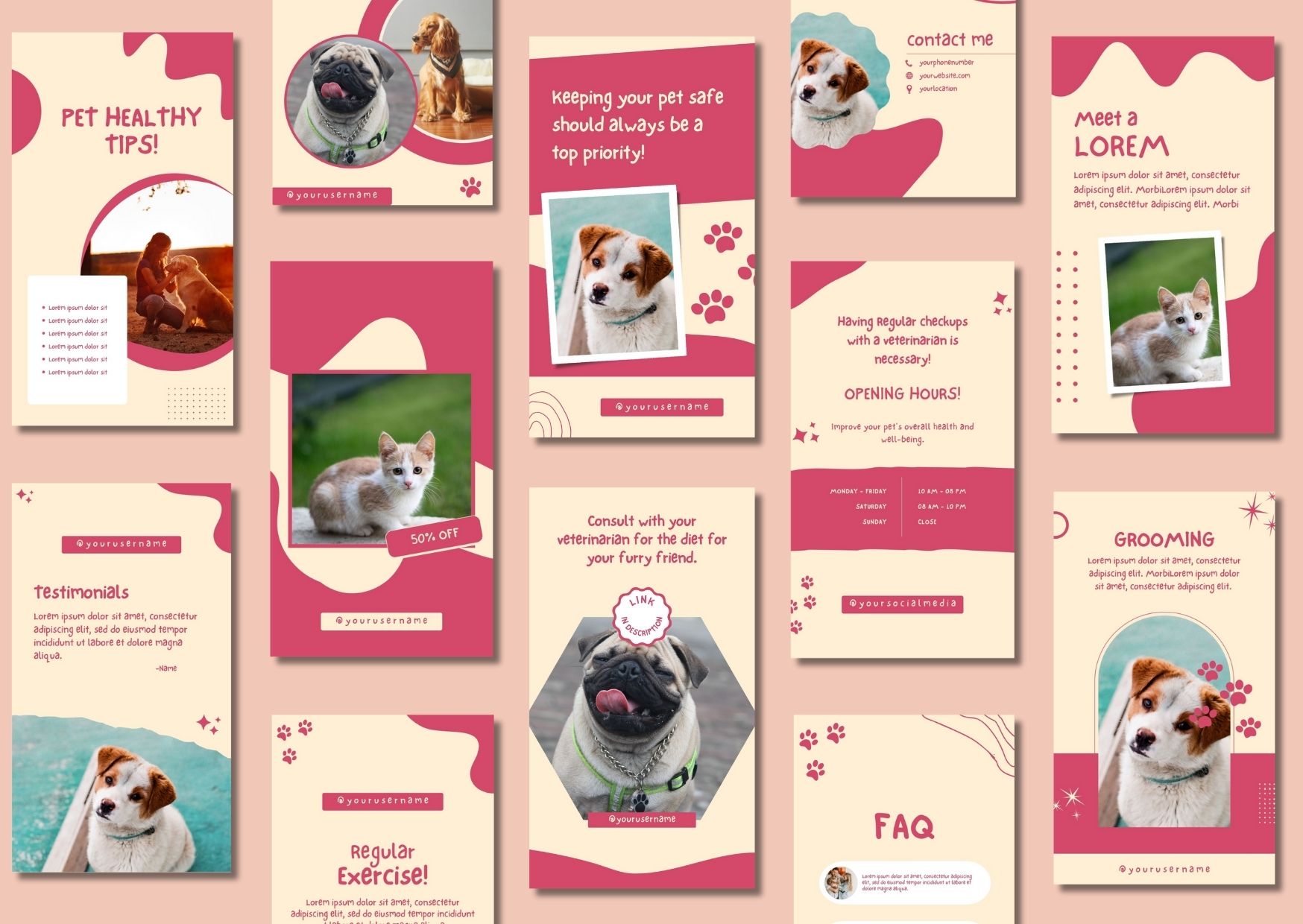 Pet Shop Instagram Story Templates
