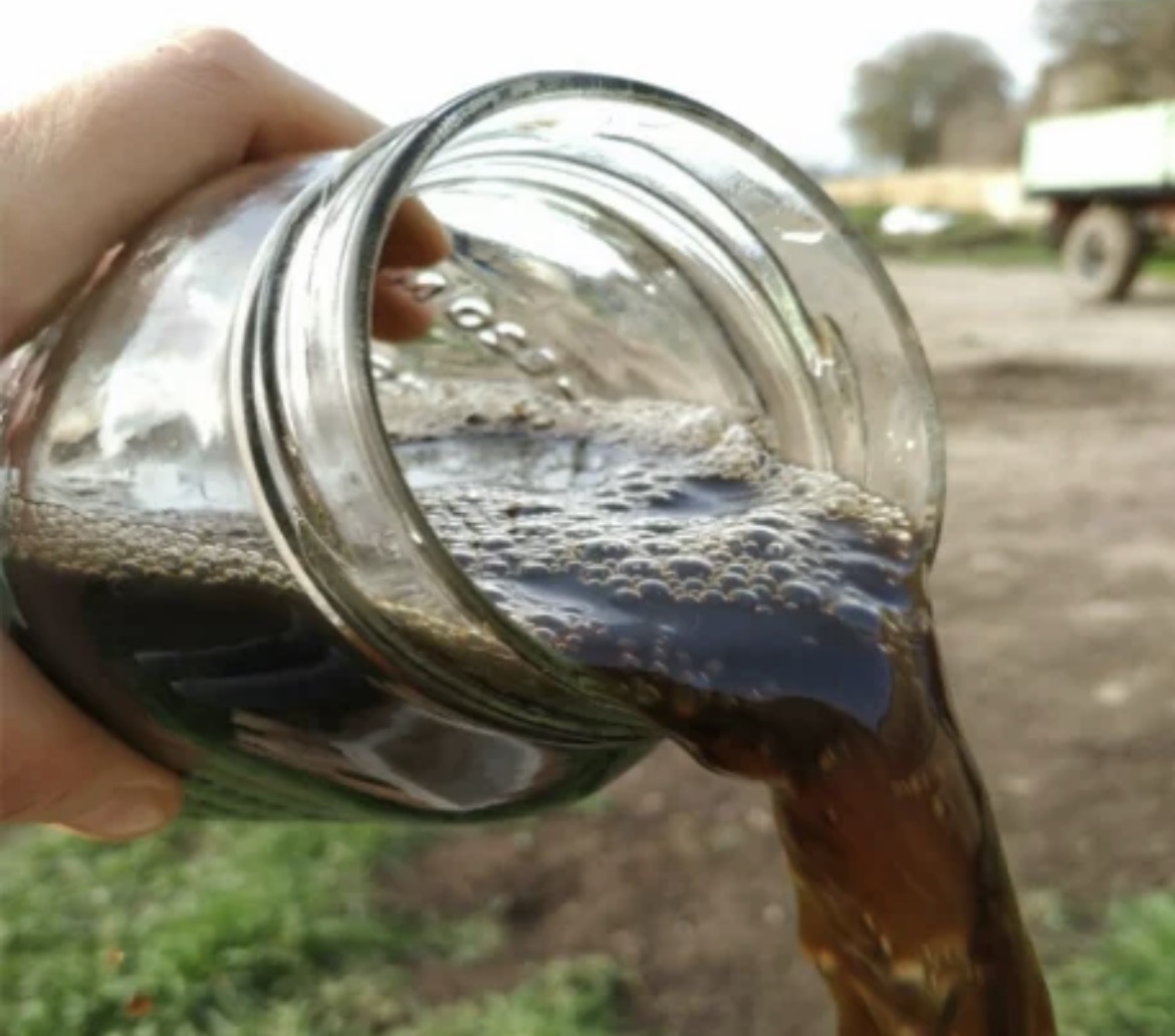 Humus líquido de lombriz 2L 