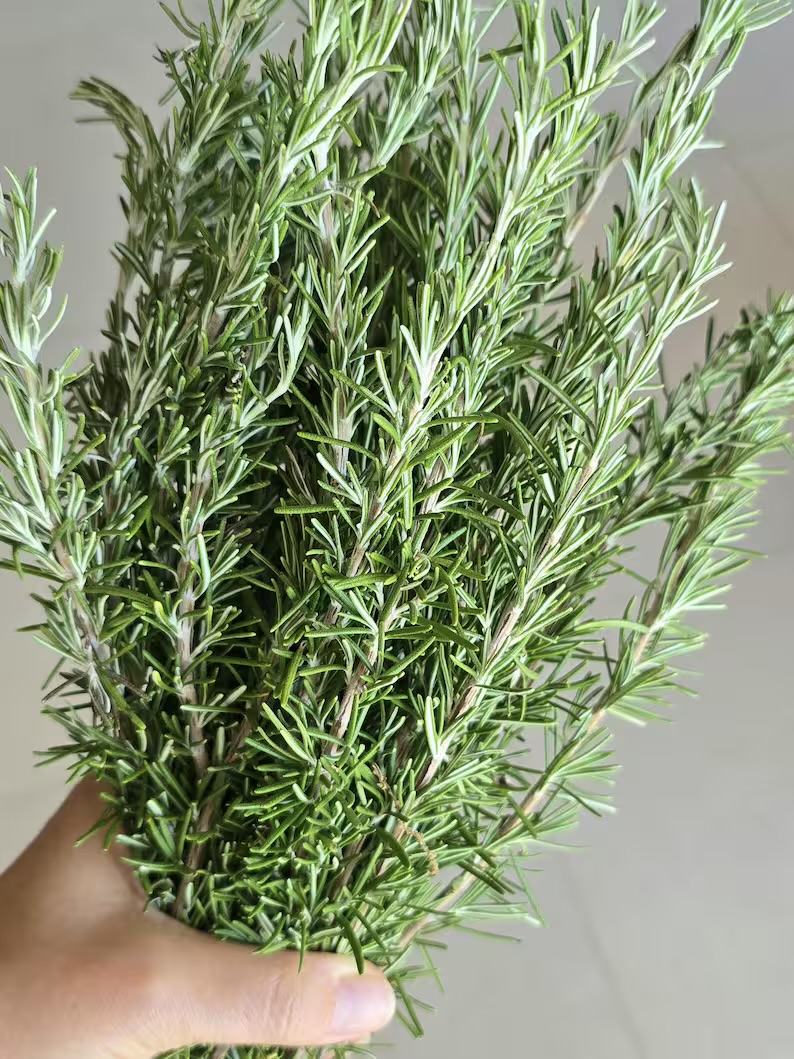 Manojo de romero 500g