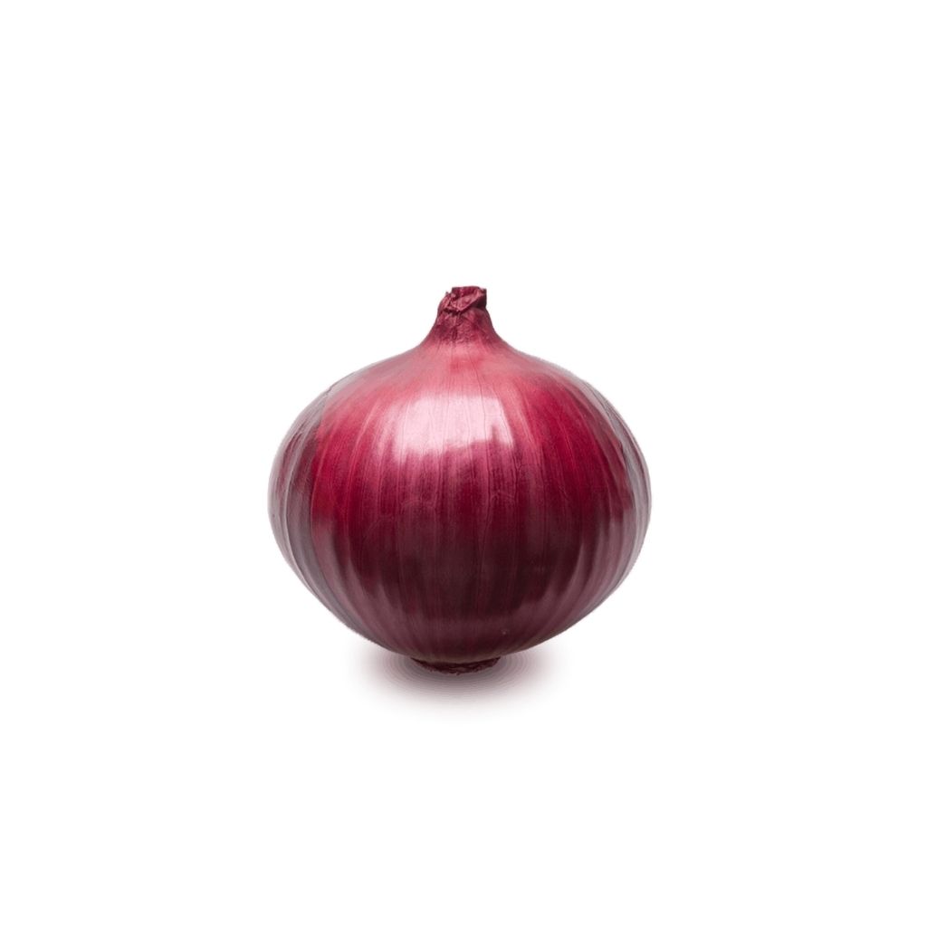 Cebolla Morada