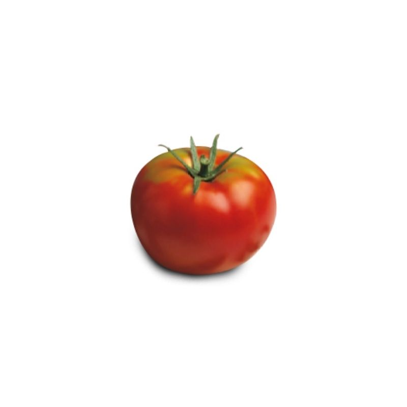 Tomate Optima 