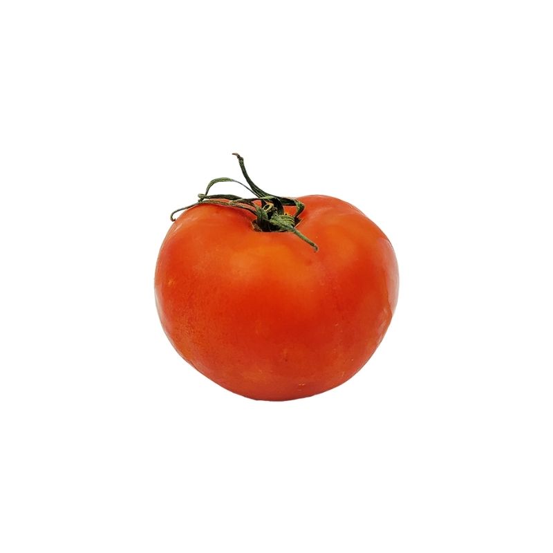 Tomate fresco