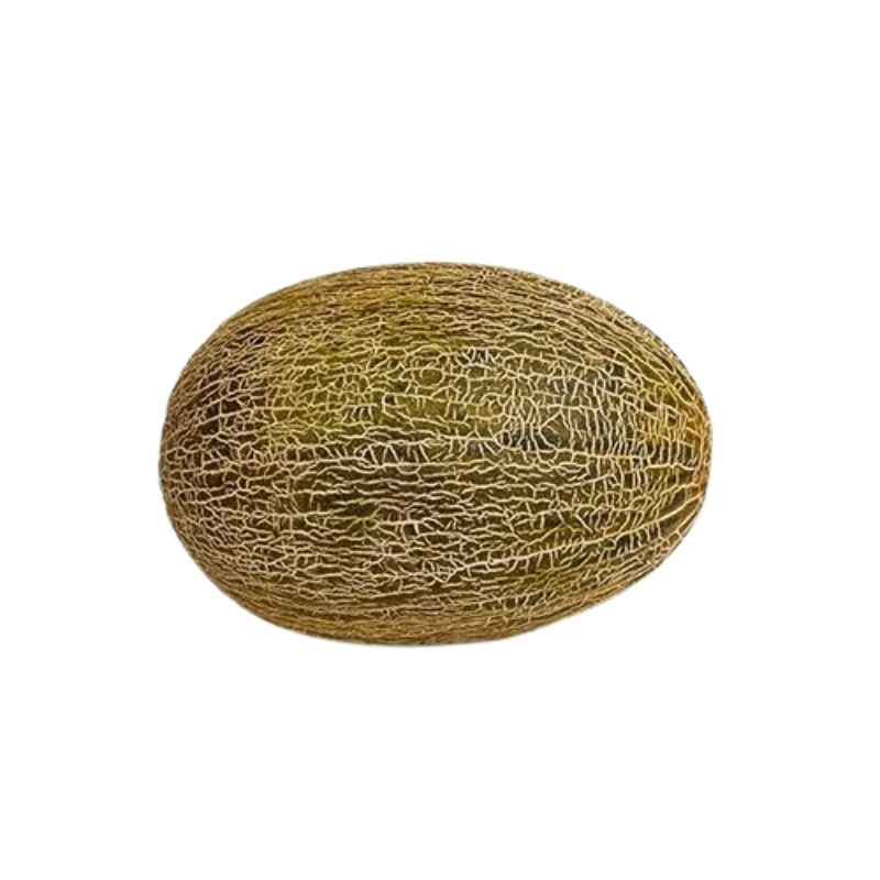 Melón Piel de Sapo