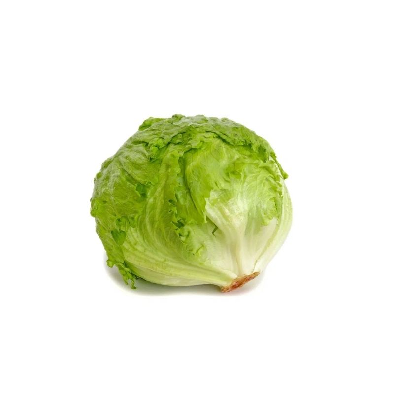 Lechuga Iceberg