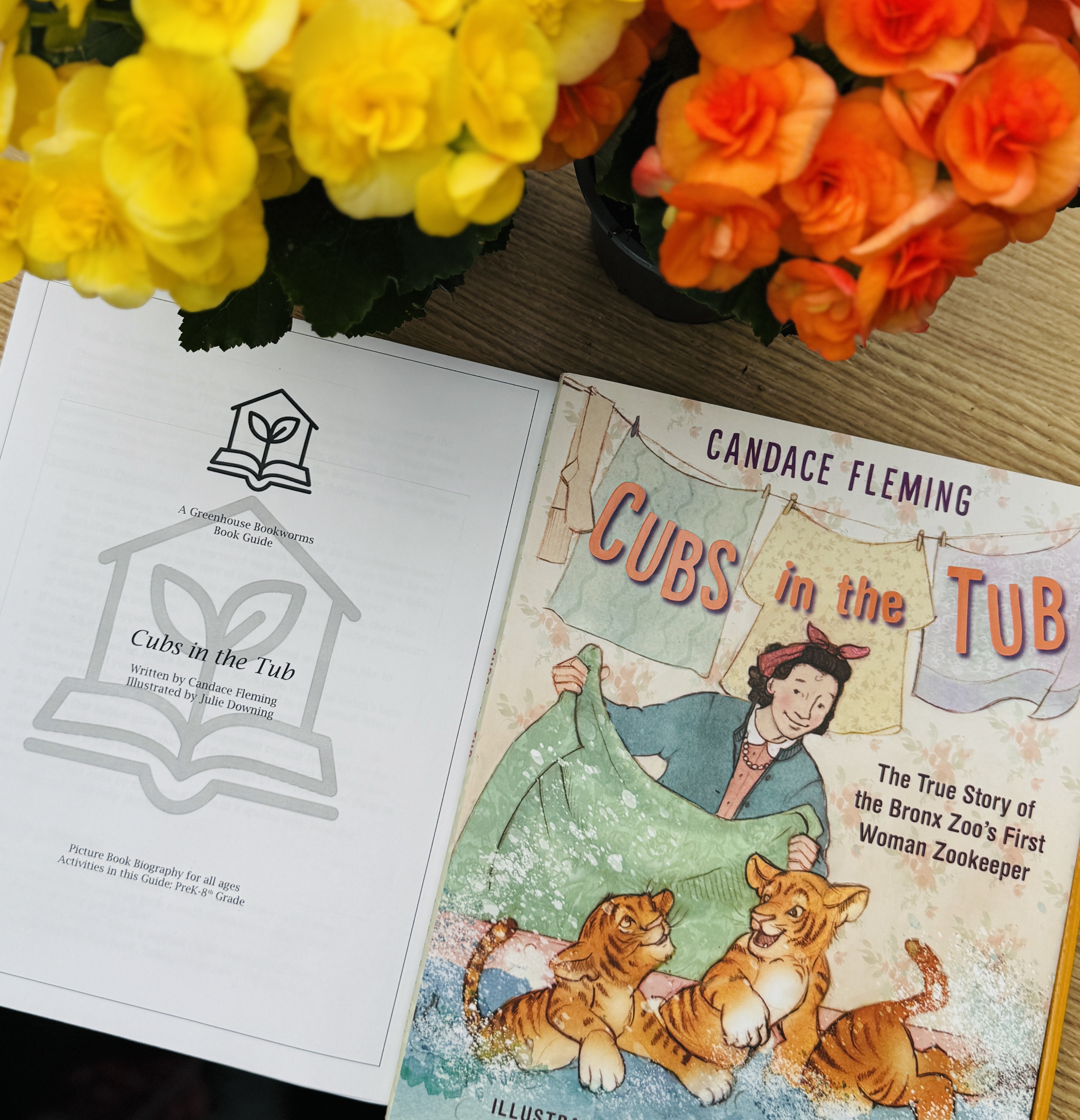 Book Guide: Cubs in the Tub