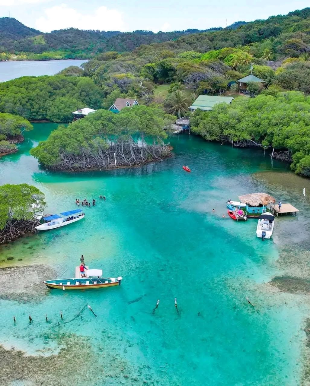 Sea Turtle Snorkeling Tour