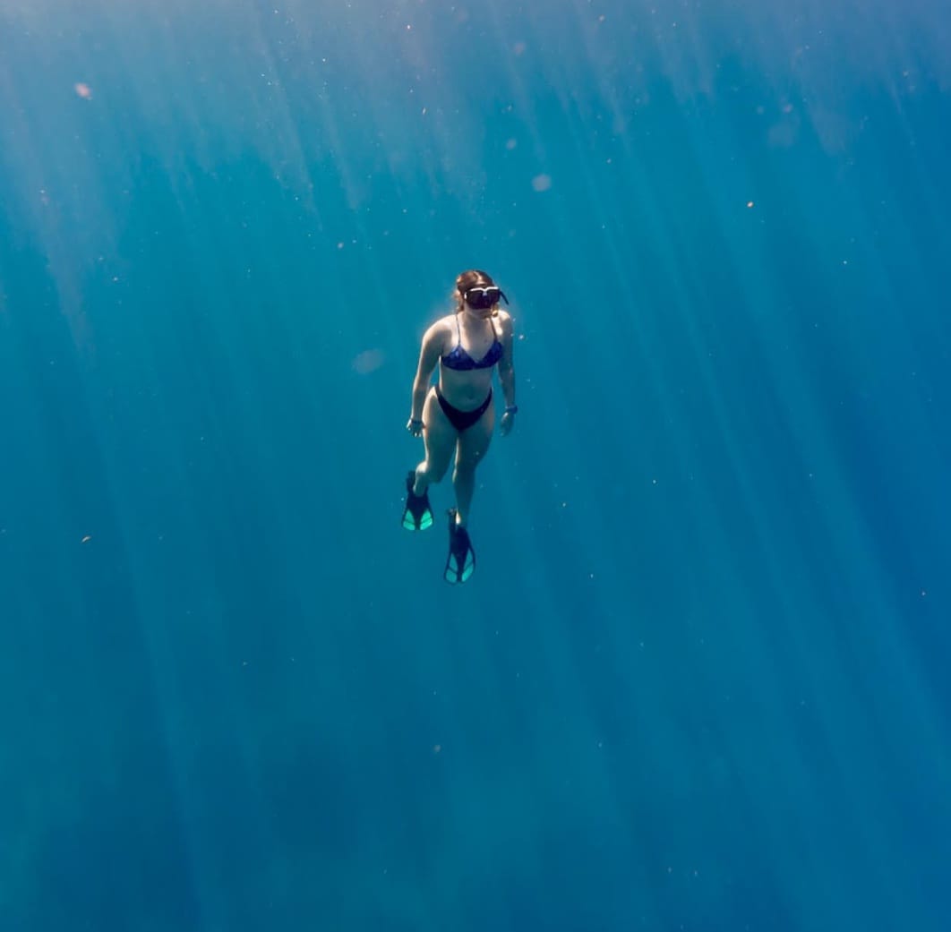 Private Reef Discovery: 1-Hour Snorkel with Captain Wilson