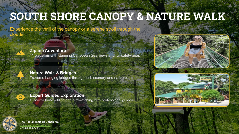 South Shore Canopy & Nature Walk