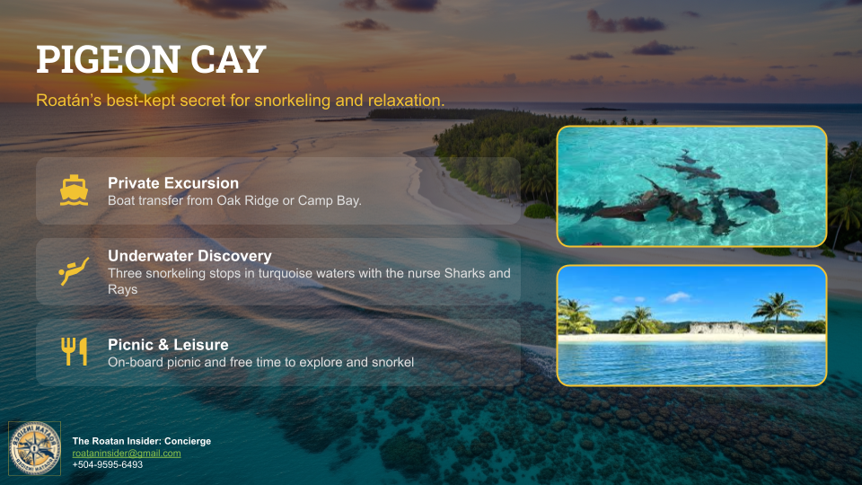 Pigeon Cay Private Island Tour