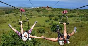 Gumbalimba Canopy Zipline Flight