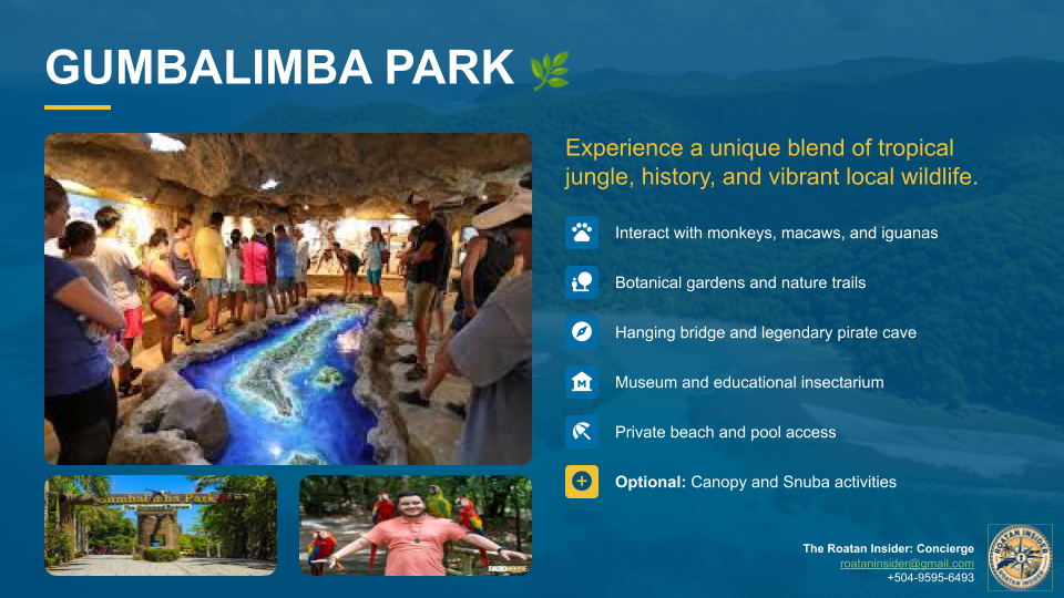 Gumbalimba Canopy Zipline Flight