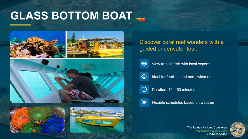 Glass Bottom Boat Tour