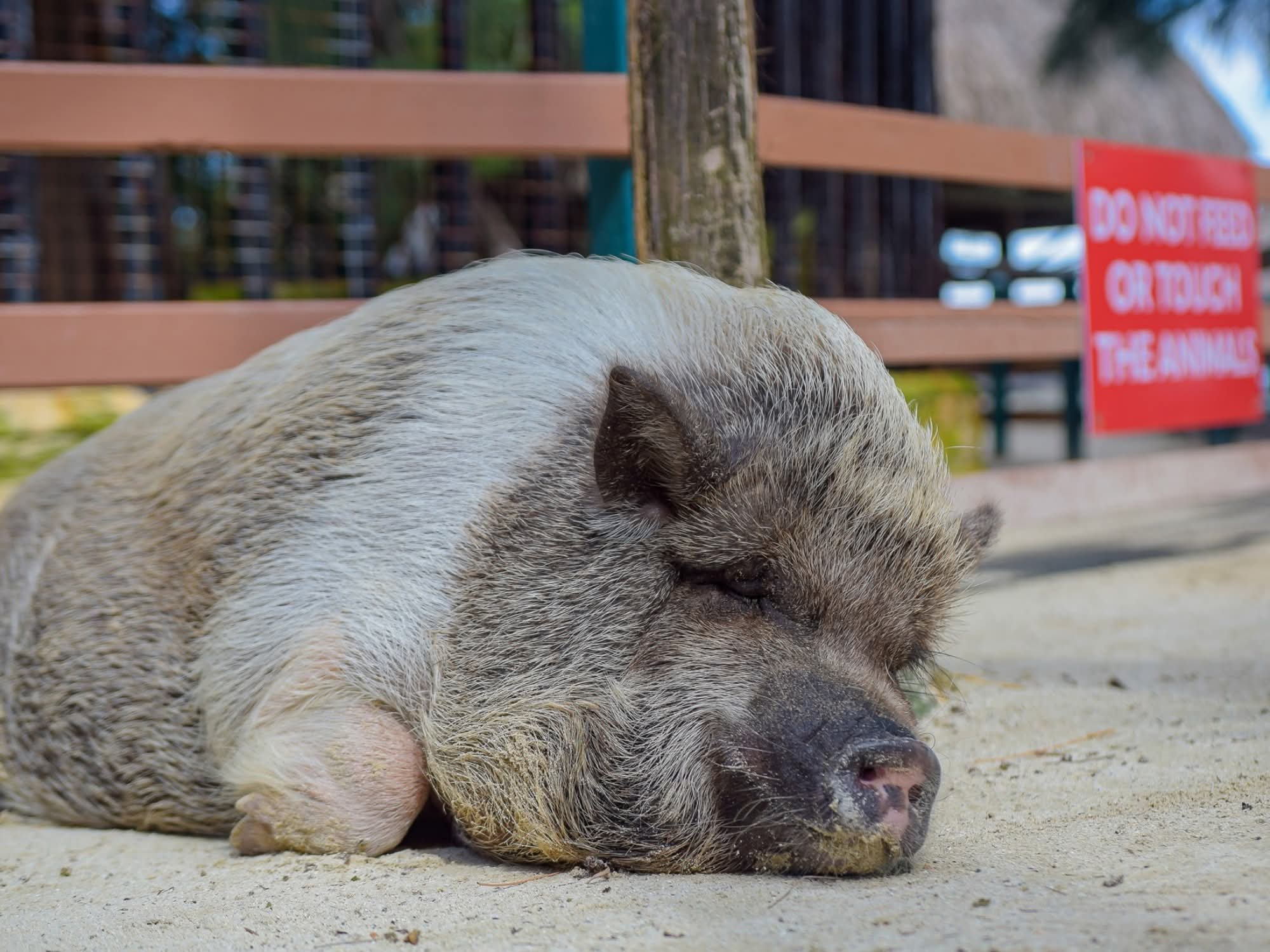 Little French Key Booking