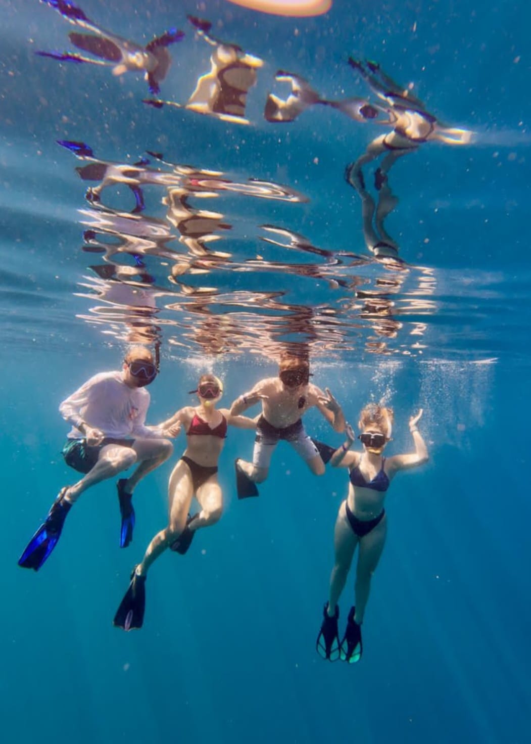 Private Reef Discovery: 1-Hour Snorkel with Captain Wilson