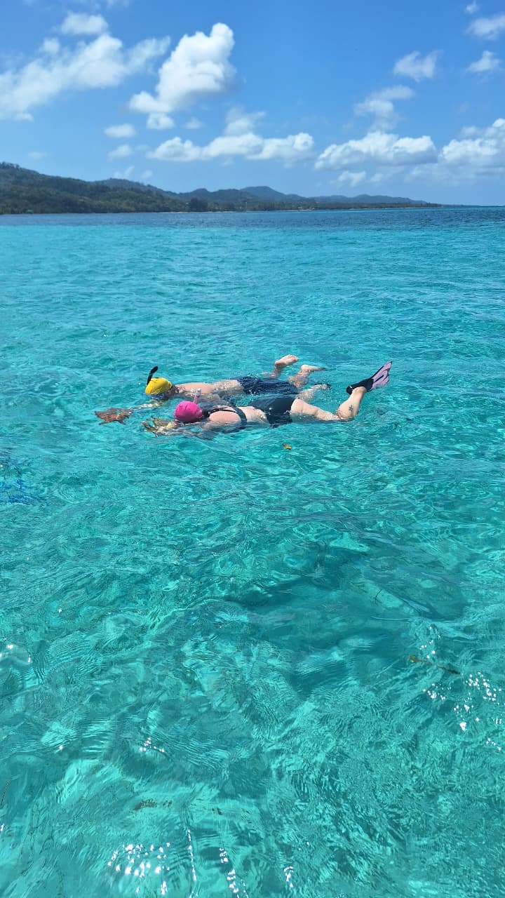 Roatan Reef Explorer: 2-Hour Snorkel Adventure with Captain Wilson