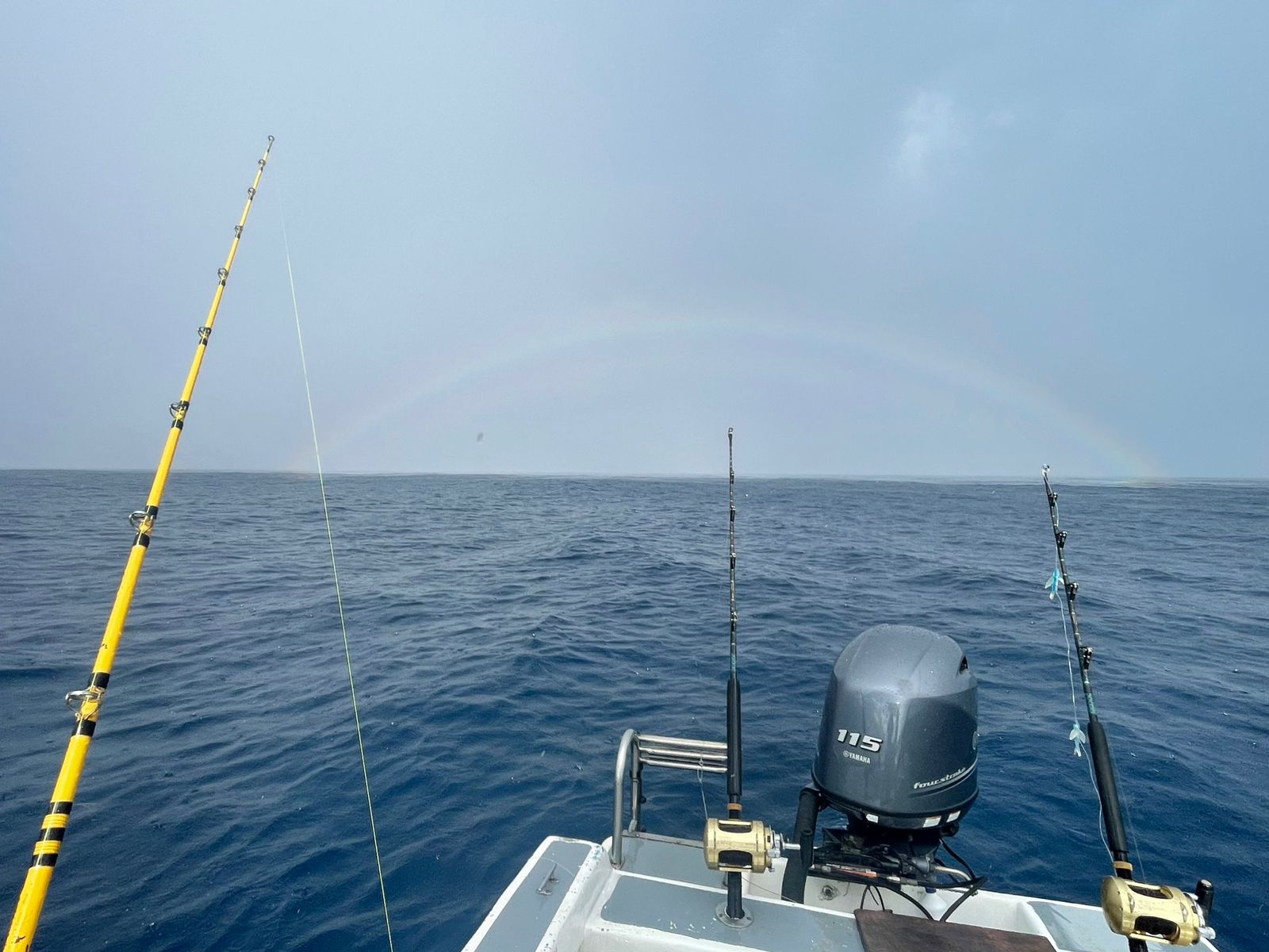 Private Island Reef & Shipwreck Expedition: 4-Hour Snorkel Escape