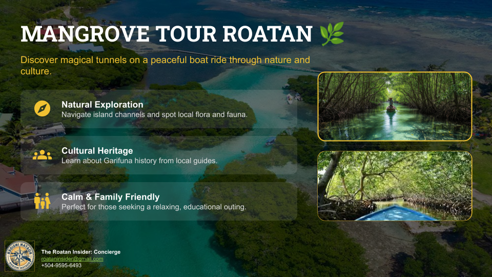 Mangrove Tour Roatan