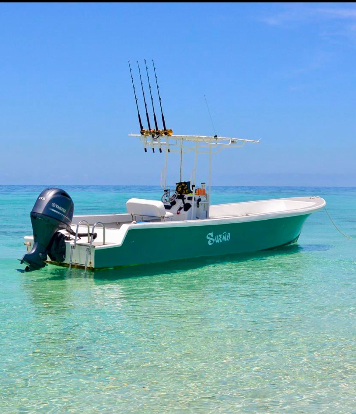 Private Island Reef & Shipwreck Expedition: 4-Hour Snorkel Escape